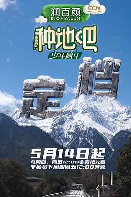 热播剧